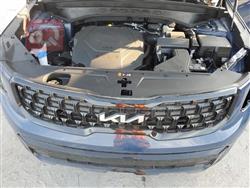 كيا تيلوريد